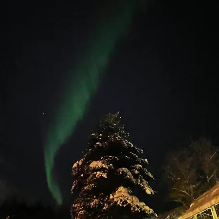 Traditional Finnish *
